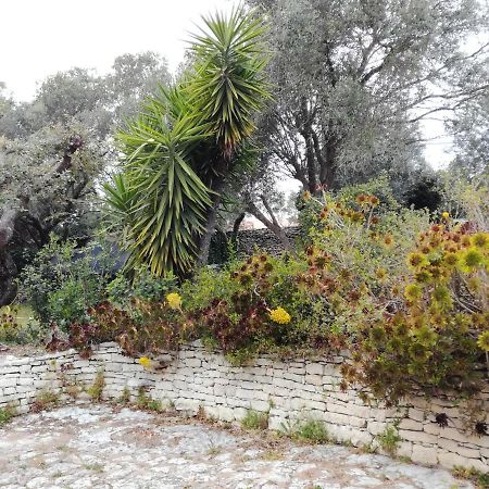 Bonifacio, Maison 90M² Sous Les Oliviers, Vue Sardaigne Bonifacio  Exteriér fotografie
