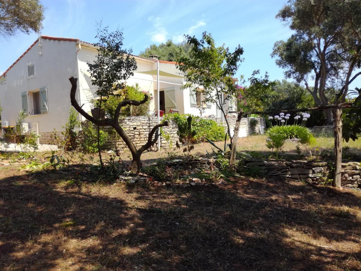 Bonifacio, Maison 90M² Sous Les Oliviers, Vue Sardaigne Bonifacio  Exteriér fotografie