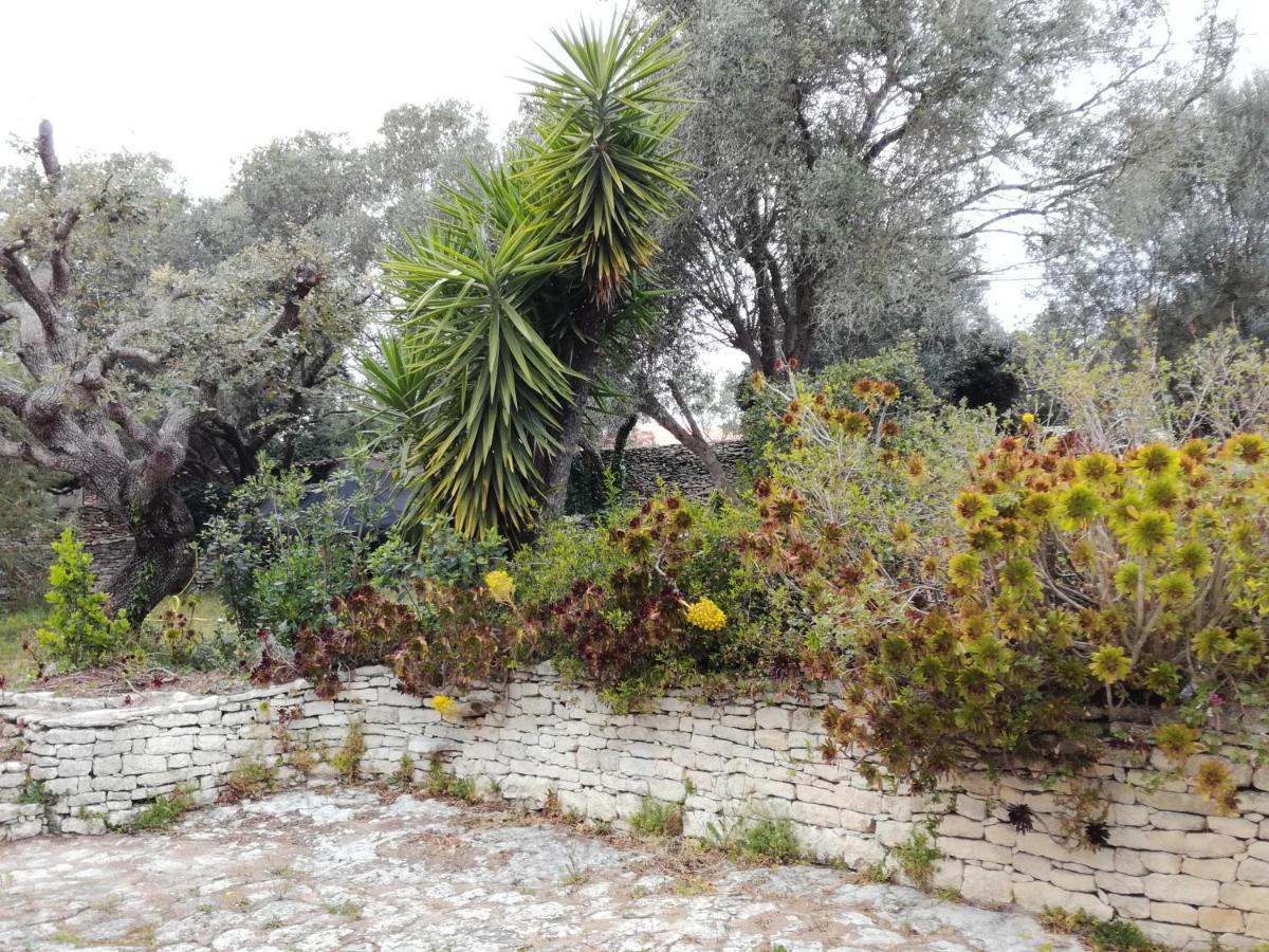 Bonifacio, Maison 90M² Sous Les Oliviers, Vue Sardaigne Bonifacio  Exteriér fotografie