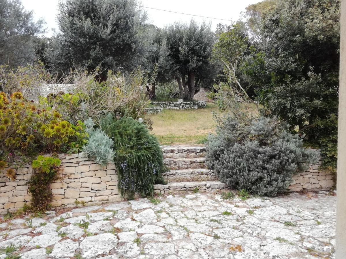 Bonifacio, Maison 90M² Sous Les Oliviers, Vue Sardaigne Bonifacio  Exteriér fotografie